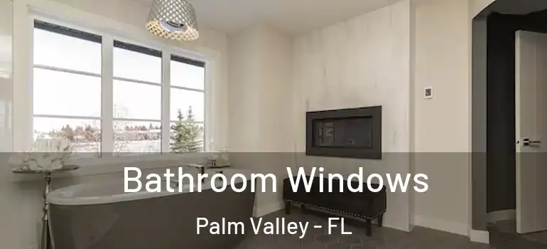  Bathroom Windows Palm Valley - FL