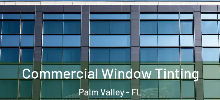  Commercial Window Tinting Palm Valley - FL