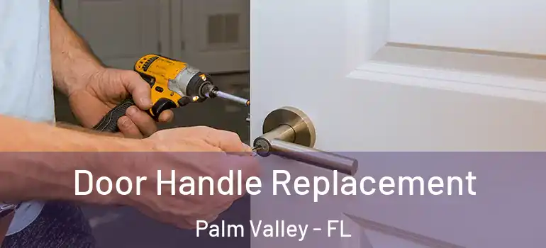  Door Handle Replacement Palm Valley - FL