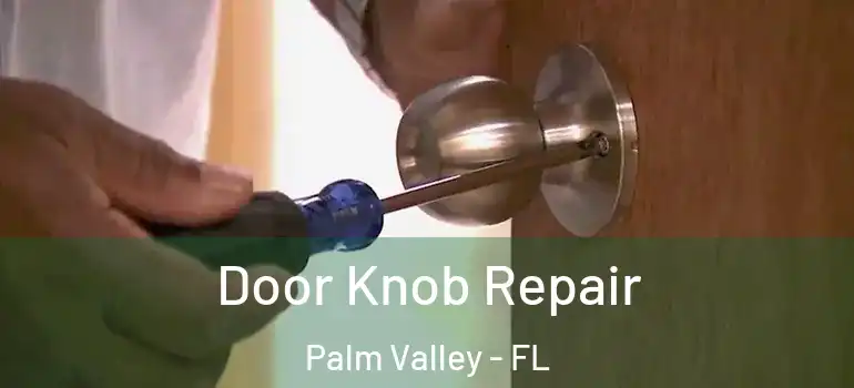  Door Knob Repair Palm Valley - FL
