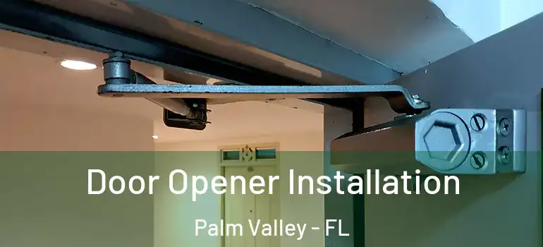  Door Opener Installation Palm Valley - FL