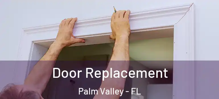  Door Replacement Palm Valley - FL