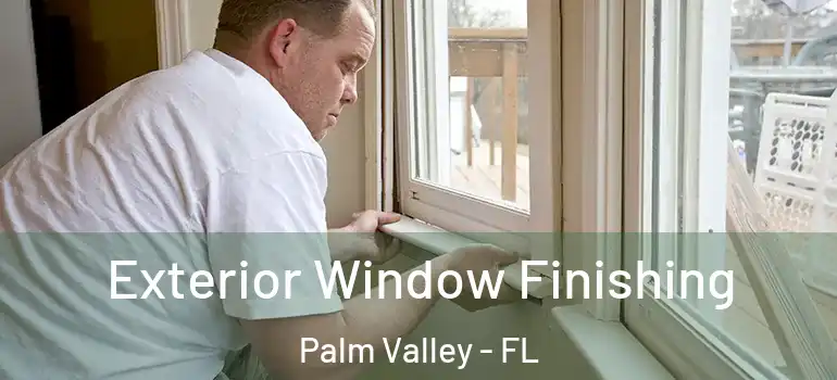  Exterior Window Finishing Palm Valley - FL