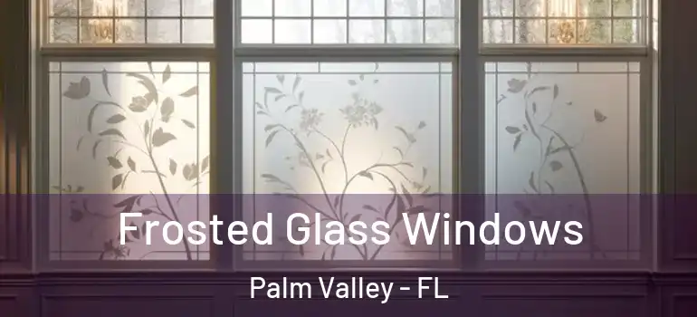  Frosted Glass Windows Palm Valley - FL