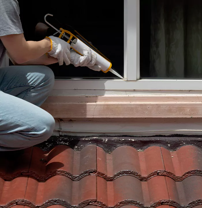 Roof Window Services in Palm Valley, Florida