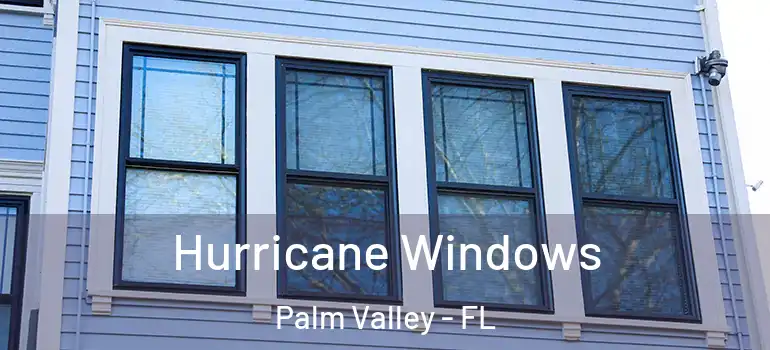  Hurricane Windows Palm Valley - FL