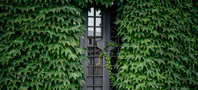 Garden Gate Repair in Palm Valley, FL
