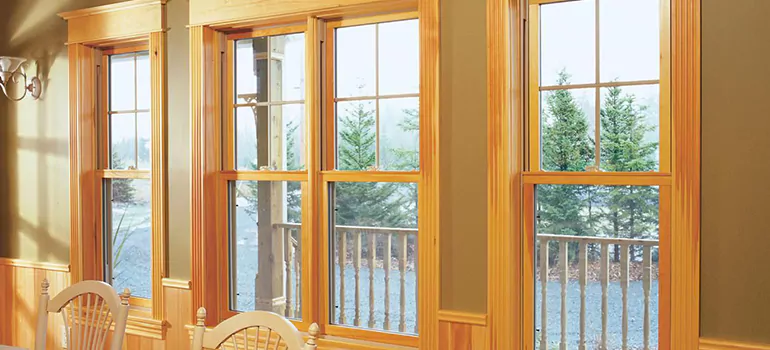 Government Incentives For Replacement Windows in Palm Valley, FL