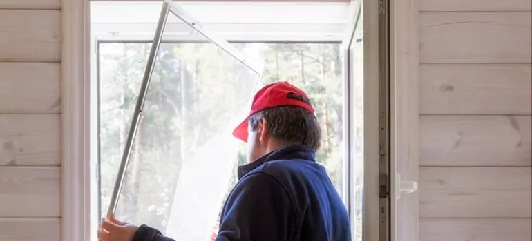 Expandable Window Screen Installation in Palm Valley, FL