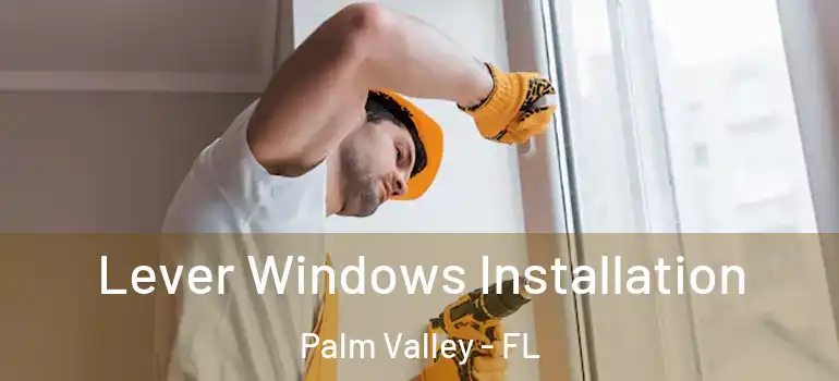  Lever Windows Installation Palm Valley - FL
