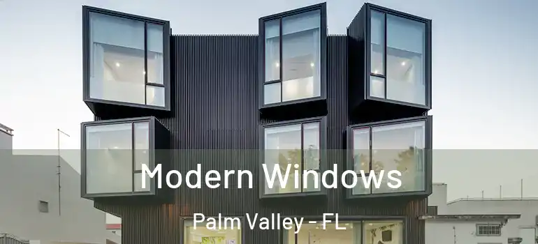  Modern Windows Palm Valley - FL