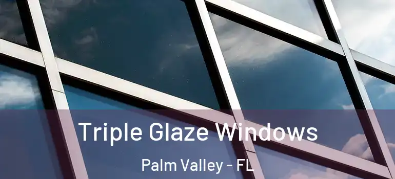  Triple Glaze Windows Palm Valley - FL