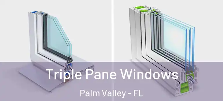  Triple Pane Windows Palm Valley - FL