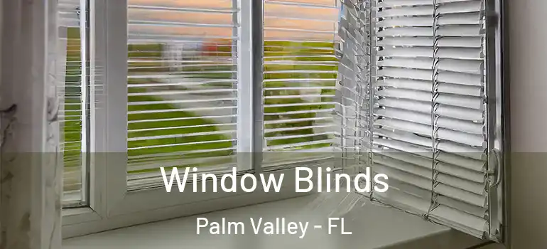  Window Blinds Palm Valley - FL