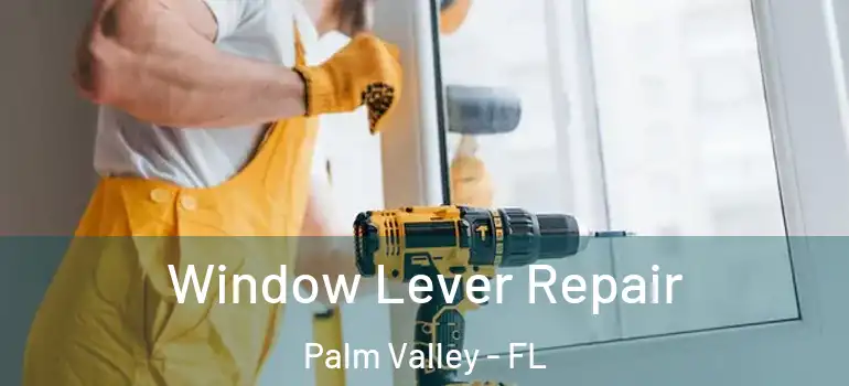  Window Lever Repair Palm Valley - FL