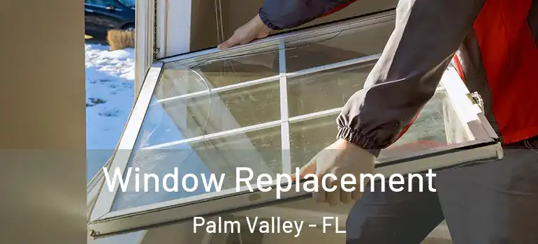  Window Replacement Palm Valley - FL