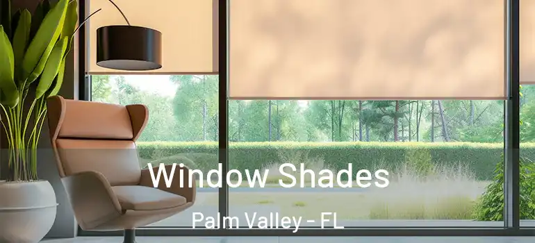  Window Shades Palm Valley - FL